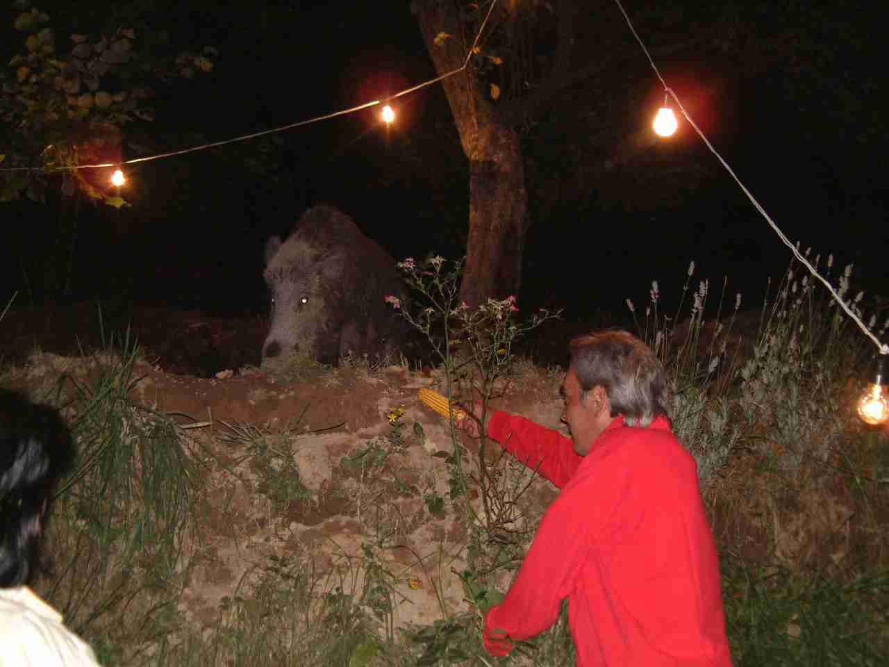  Image name: 06.jpg 
 width: 1280 pixel 
 height: 960 pixel 
 Size: 51642 bytes 
 Click to enlarge 